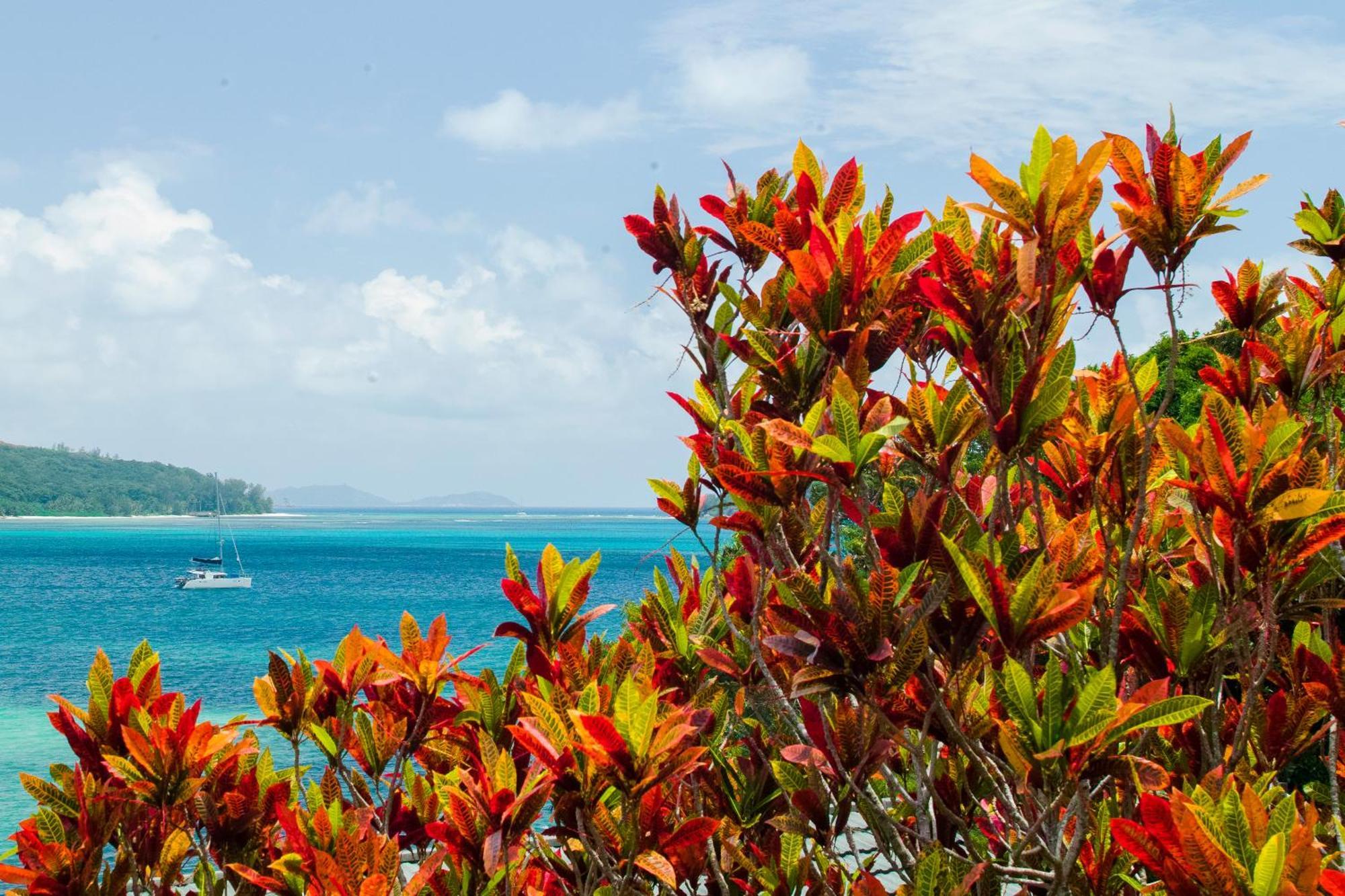 Chalets Cote Mer Baie Sainte Anne Bagian luar foto